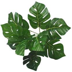 filodendron (monstera) - bukiet liście 32cm 1 szt.