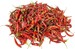Papryka chili czerwona 6cm - 50g